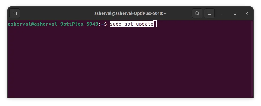 Terminal de Ubuntu ejecutando el comando sudo apt update para actualizar los paquetes del servidor